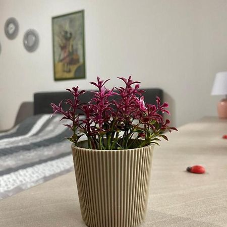 Cozy Apartment Ladybug, Sarajevo Bagian luar foto