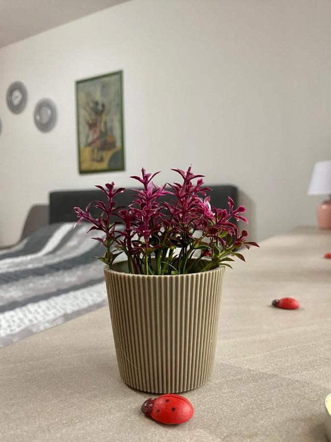 Cozy Apartment Ladybug, Sarajevo Bagian luar foto